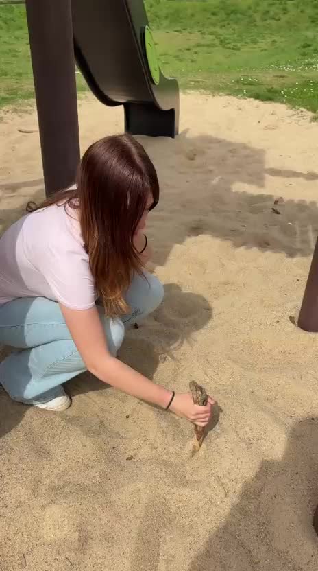@ℒ𝒾𝓼𝒶⋆.˚✮˚.⋆