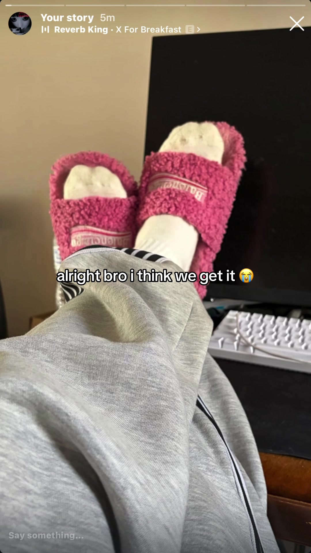 @rexv3