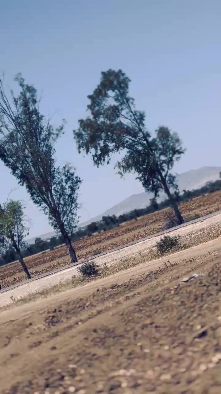 @Hama Farjallah 
