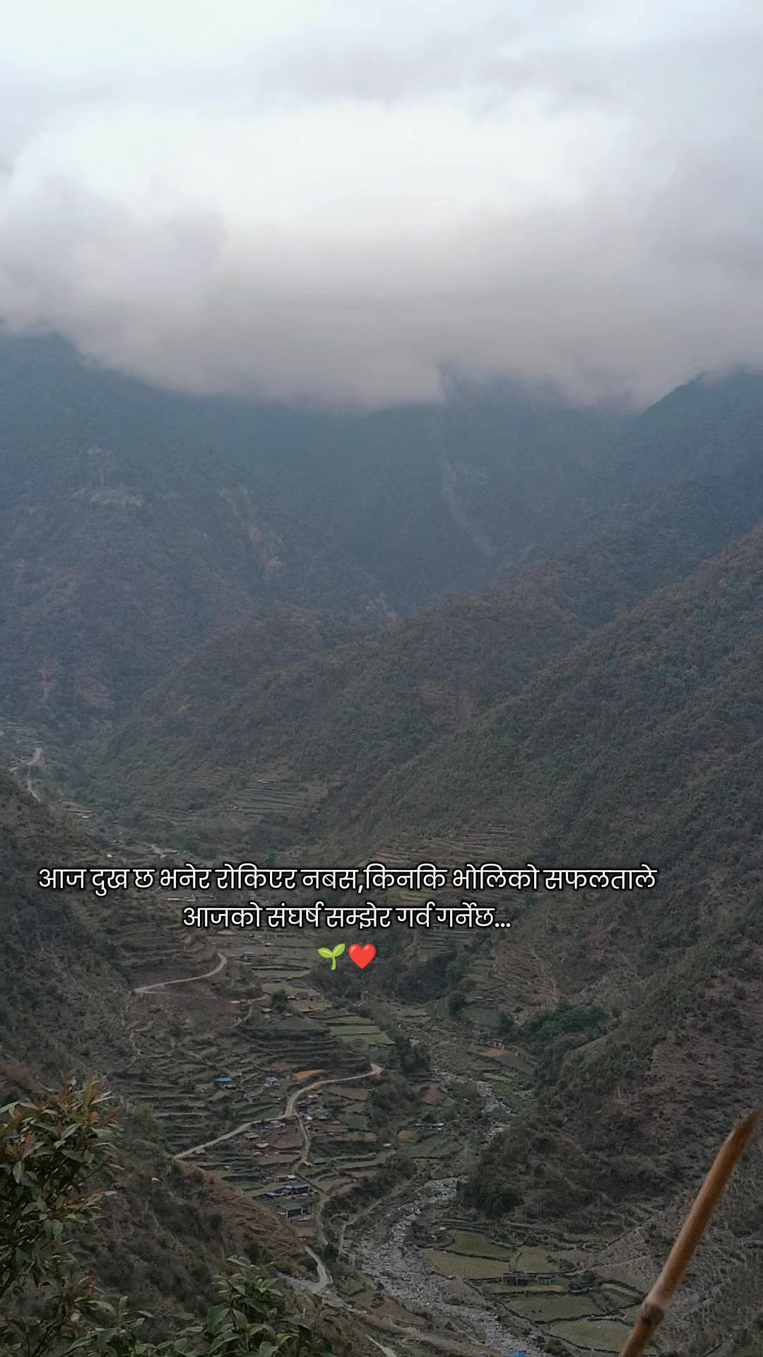 @Shayari Vibes