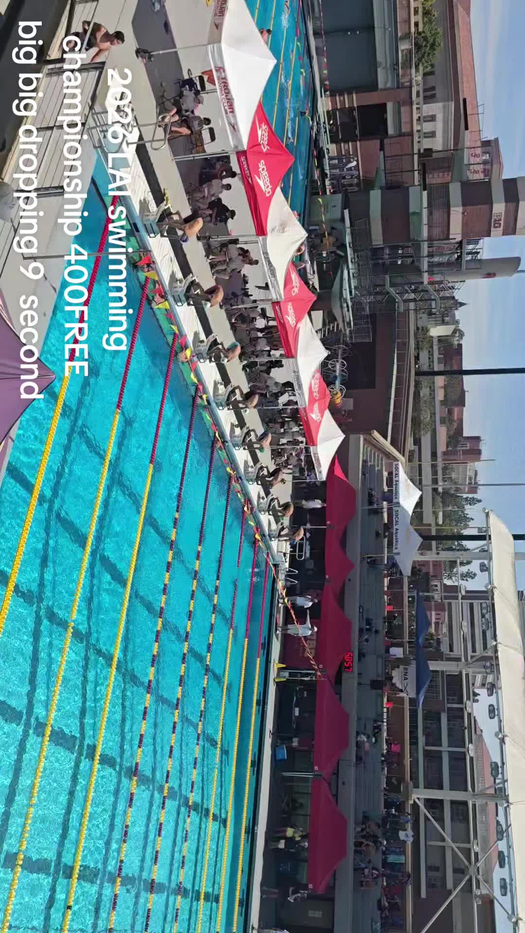 @randyroyforever