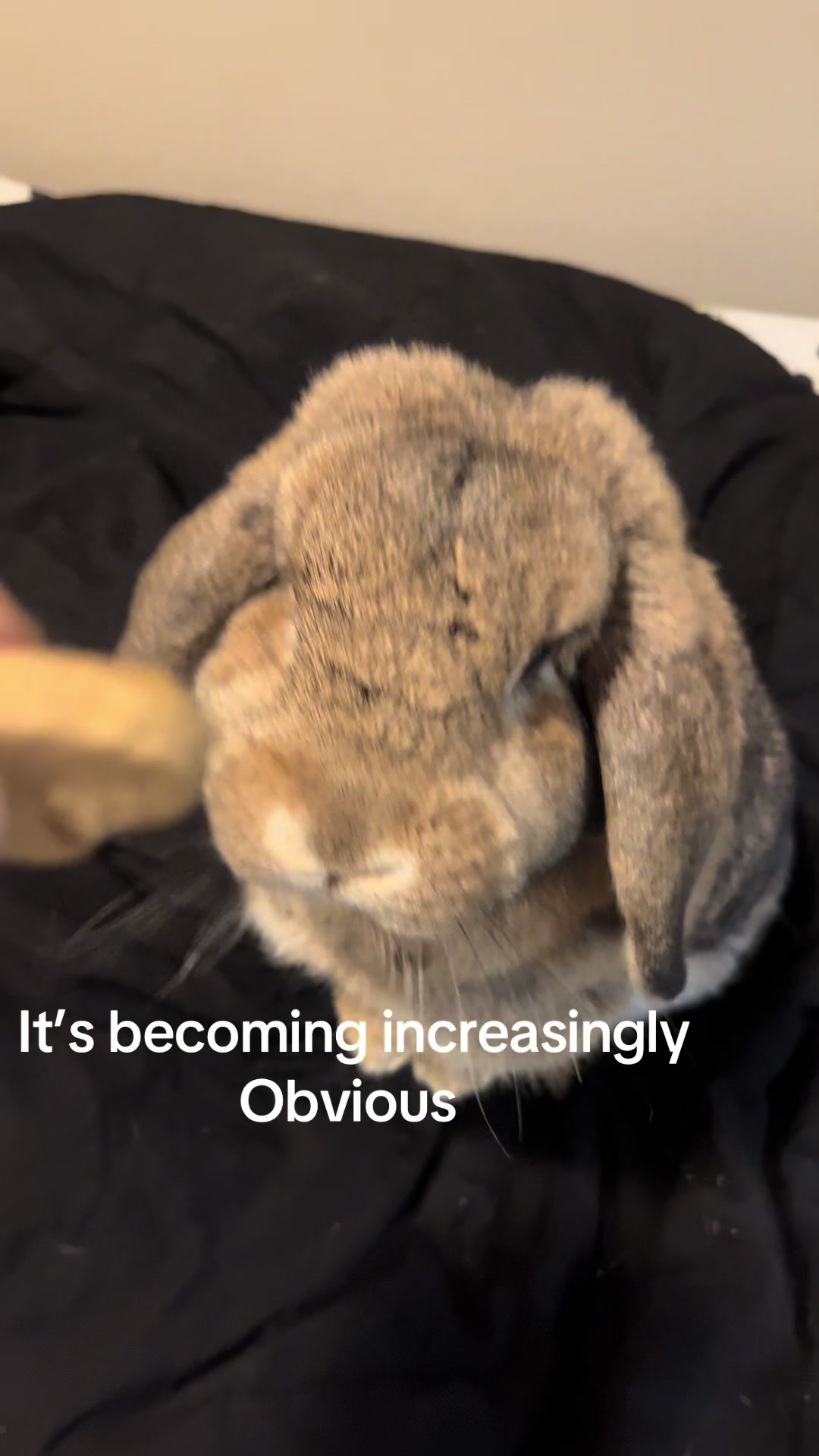 @Fadedbunny69