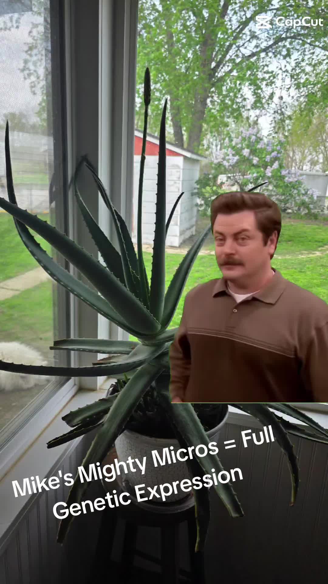 @Mike's Mighty Micros