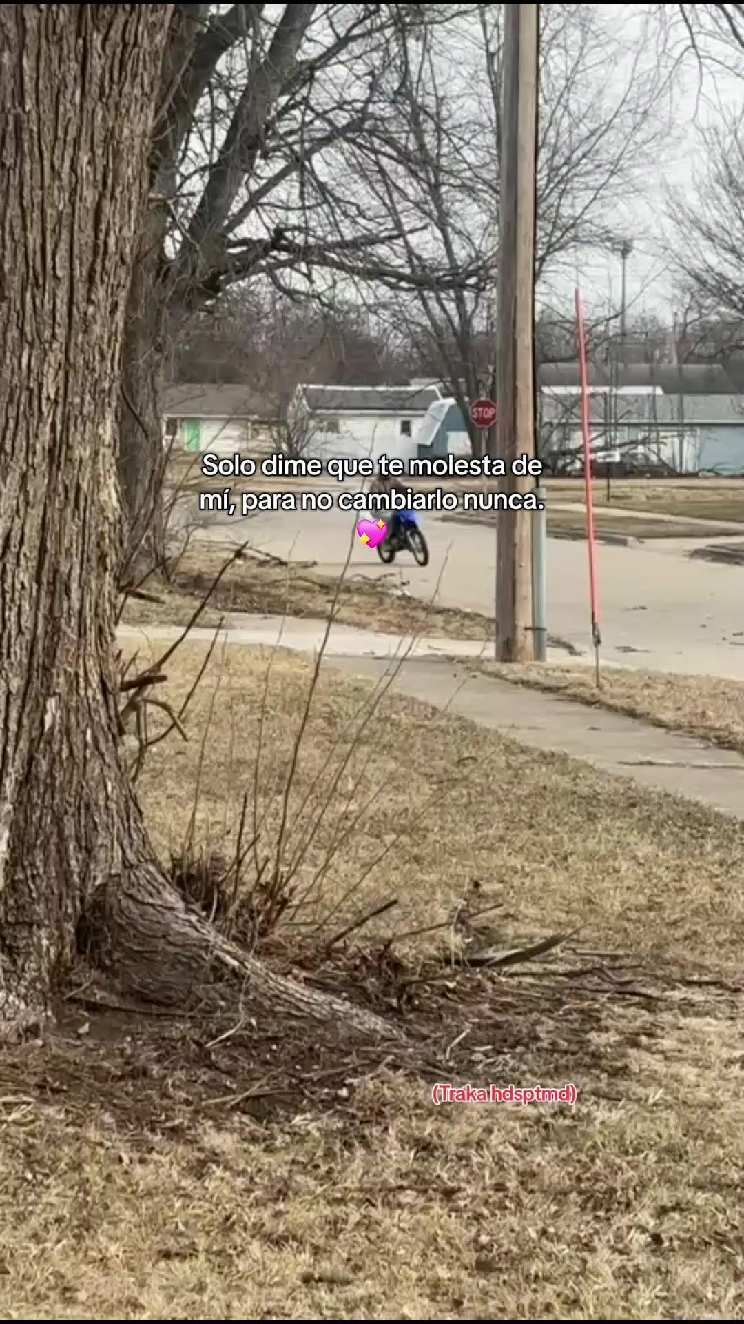 @Esvin 🤠