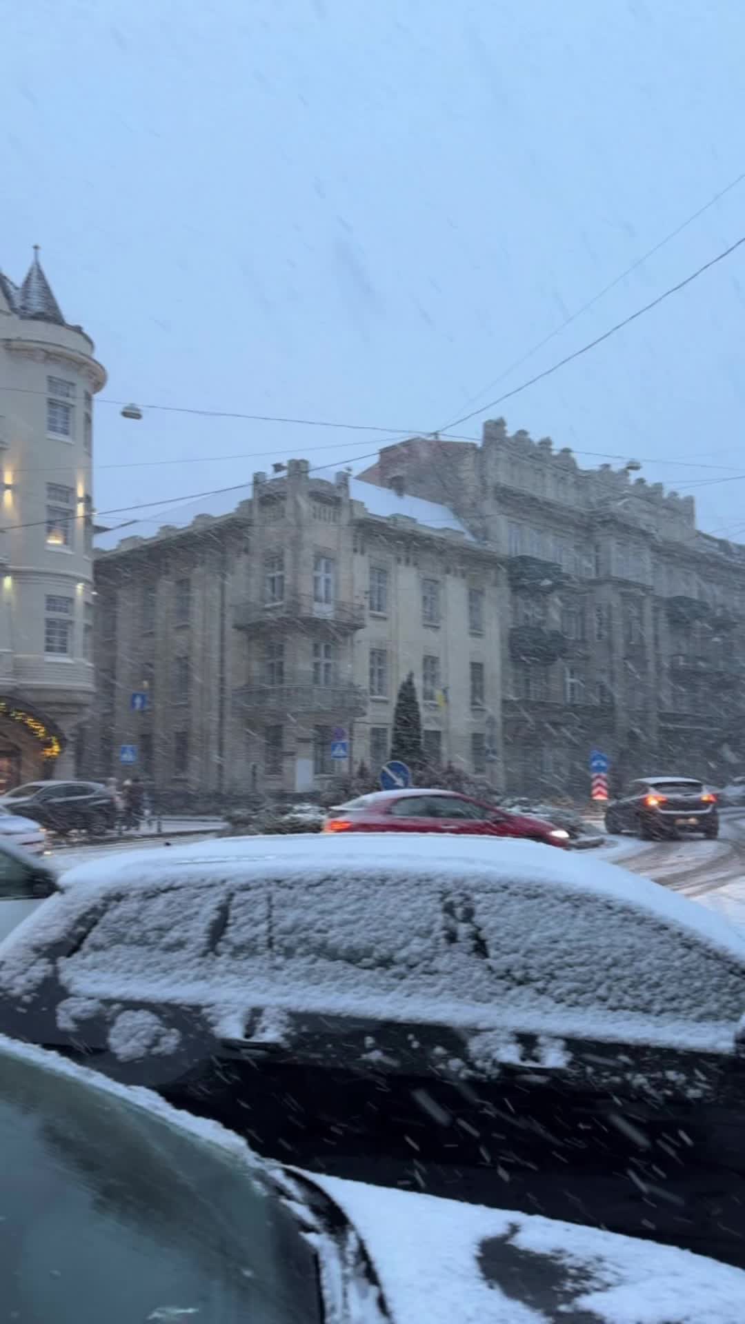@Андрій🦁🐗