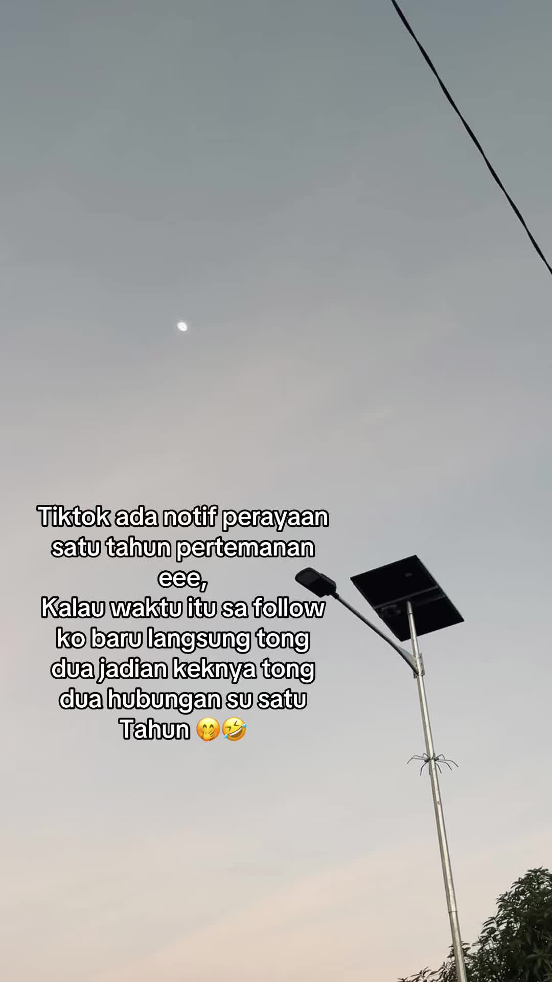 @faldy