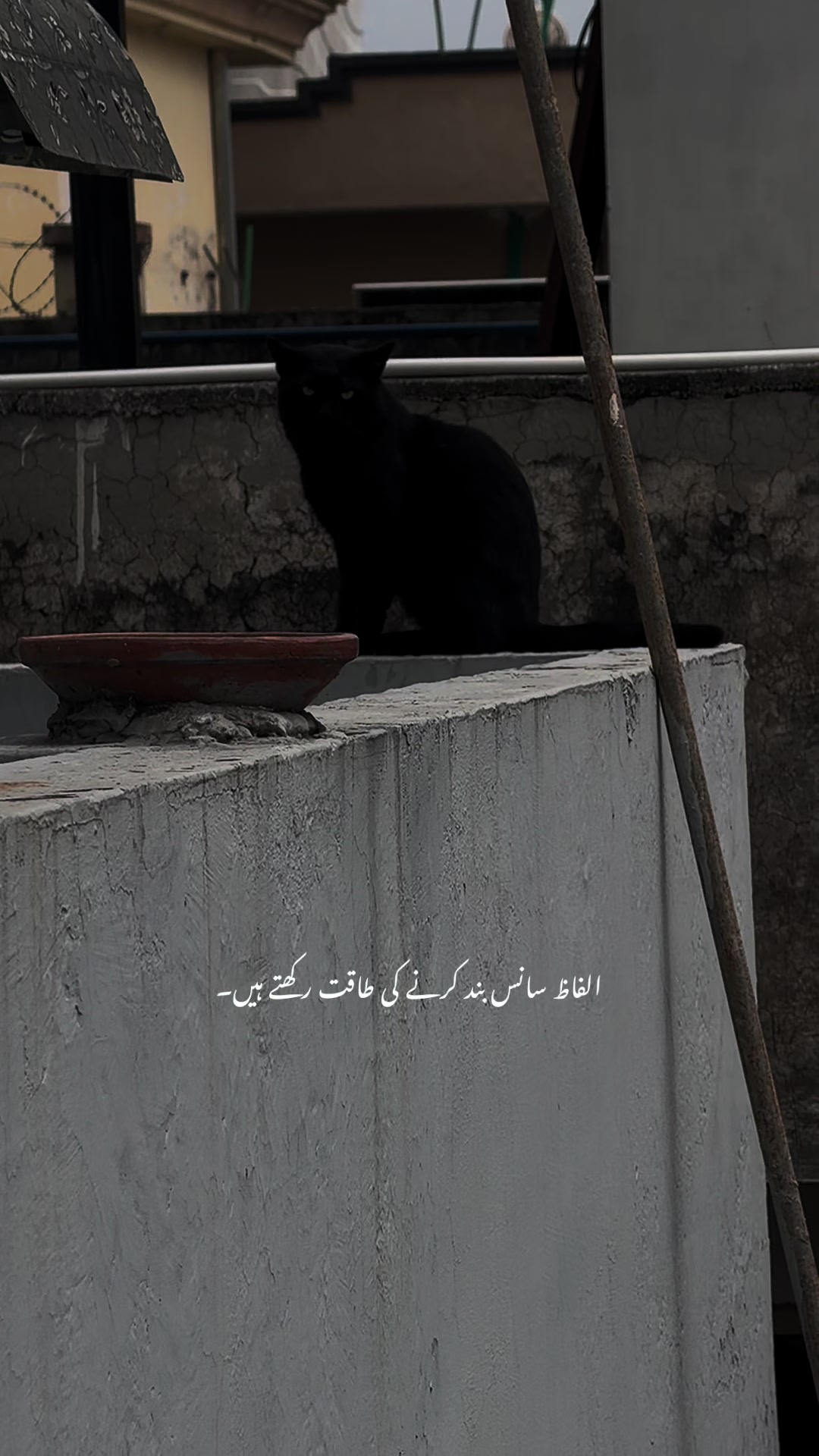 @𝙏 𝘼 𝙇 𝙃 𝘼🫀❤️&zwj;🩹