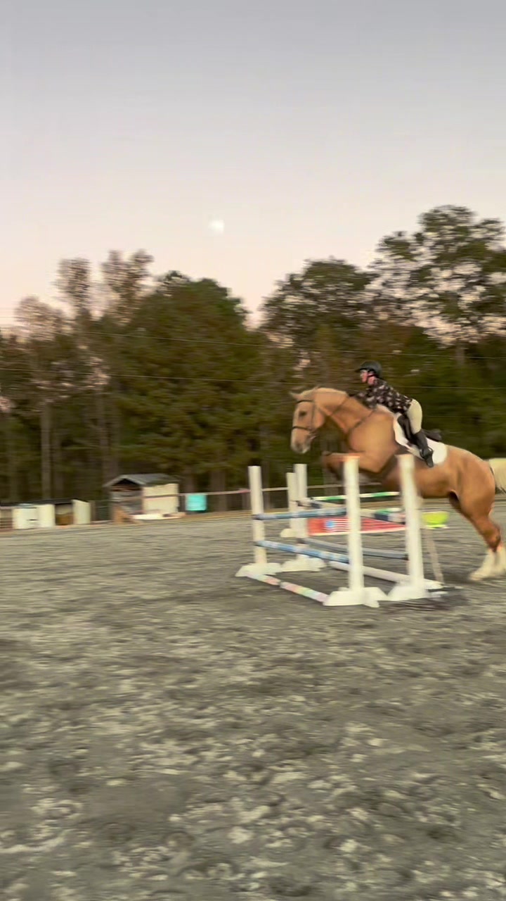 @🔥Neigh Neigh Nation🔥