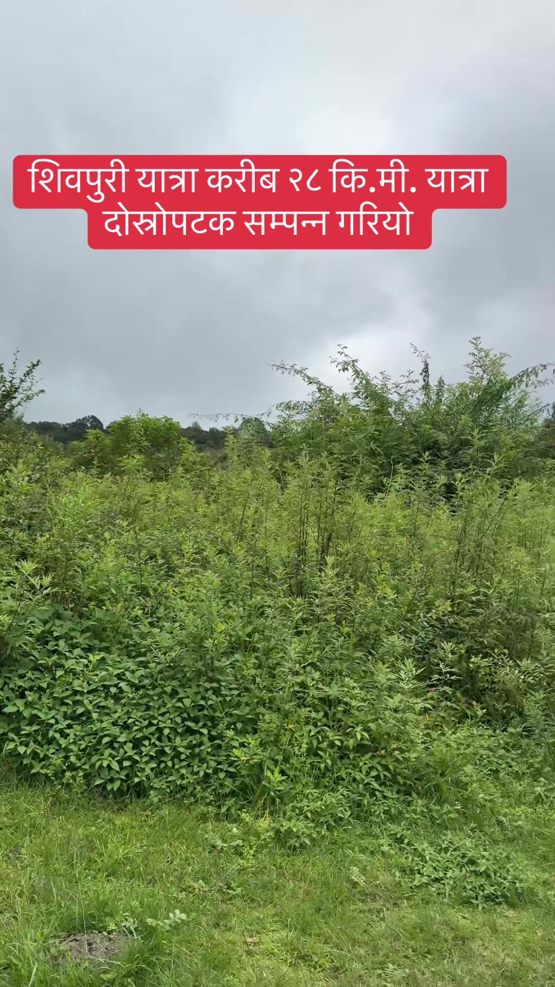@Gyanendra Raj Sharma