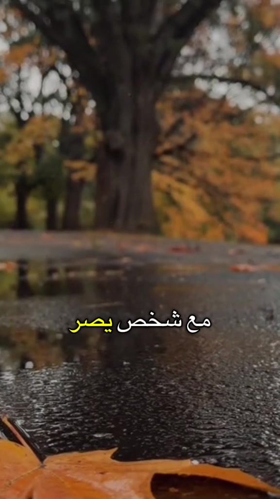 @Mira❤️🇩🇿