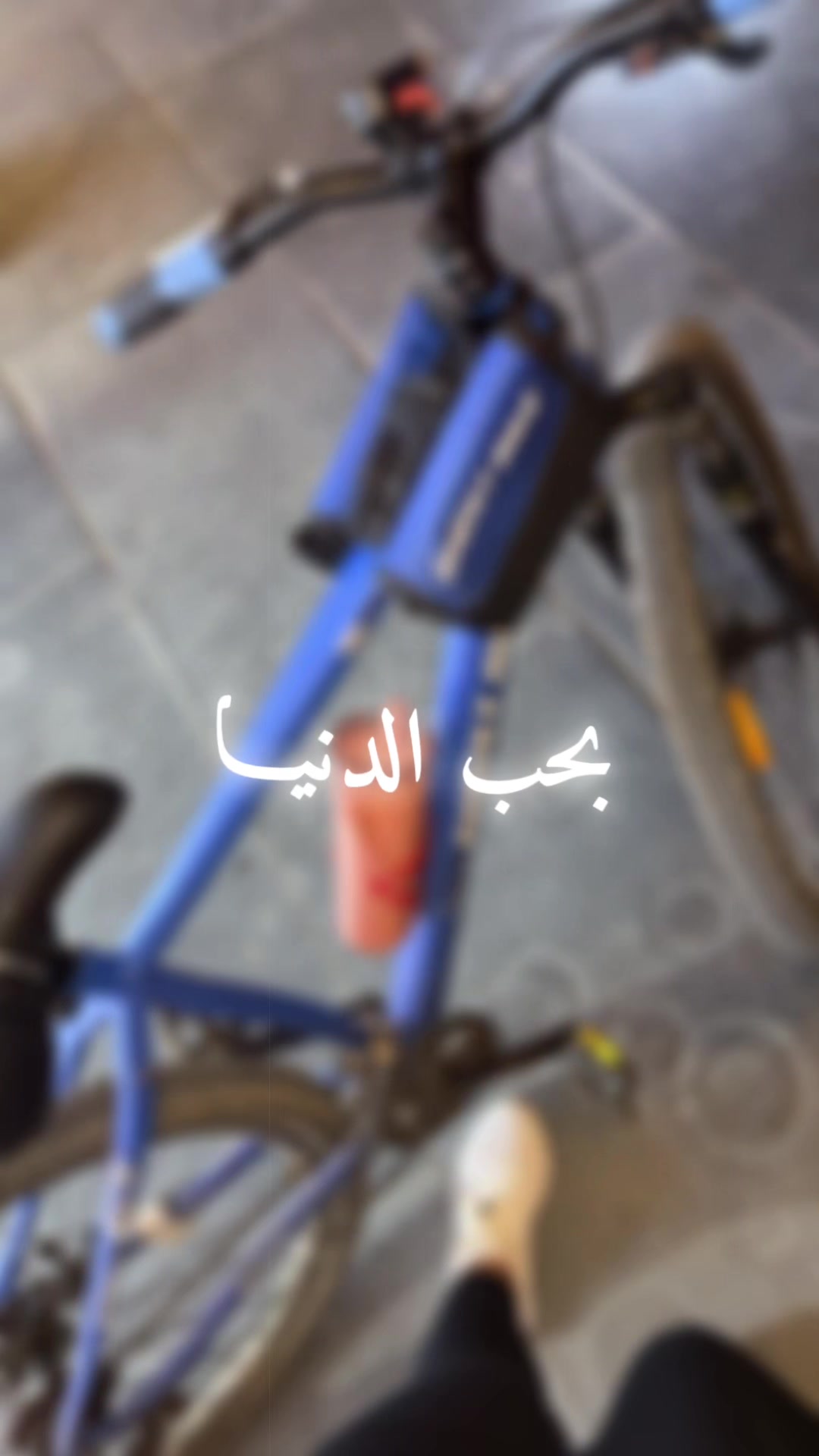 @Eya Hosni