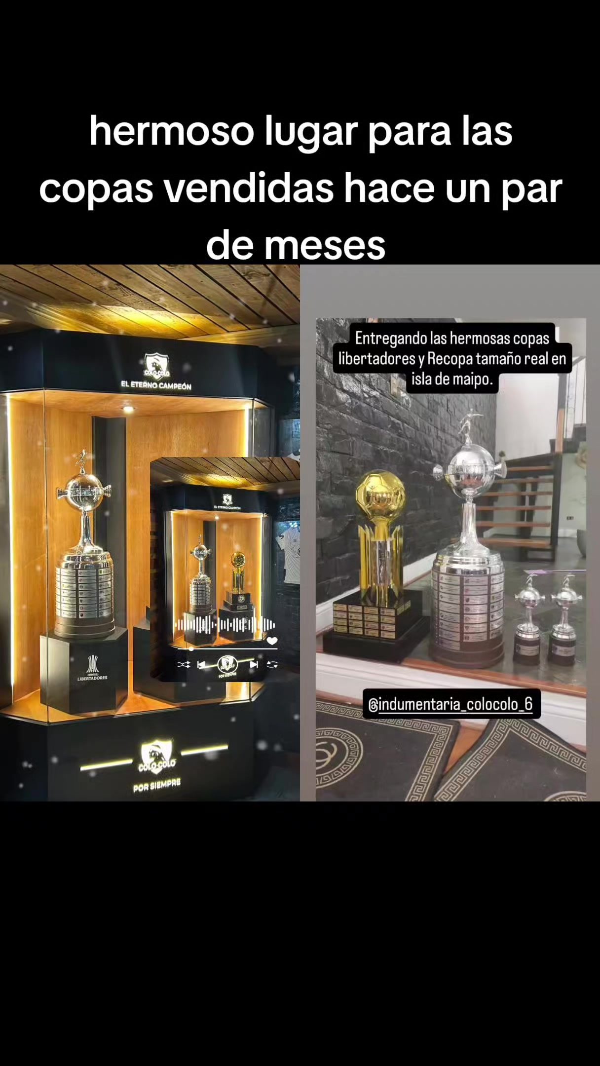 @indumentaria_colocolo_6