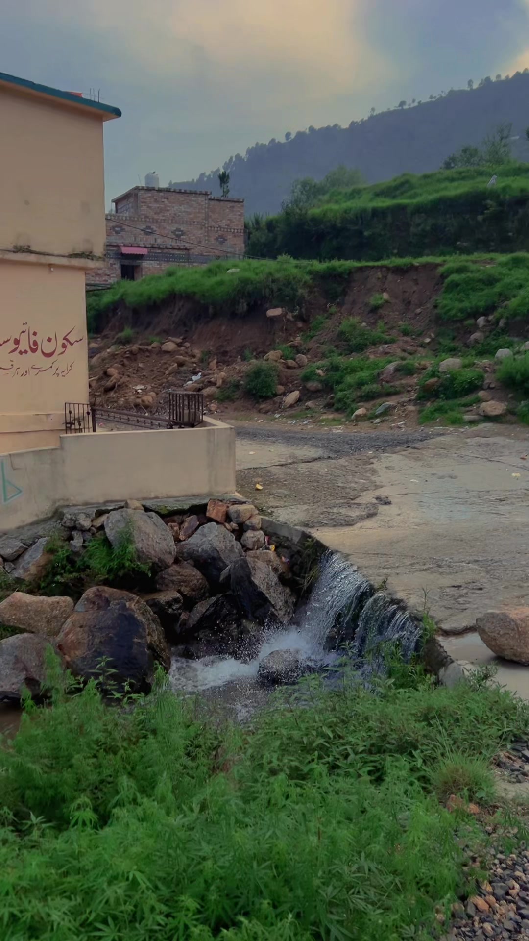 @شیرزمین