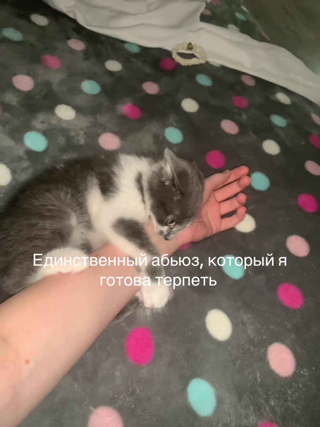 @ddxrt0