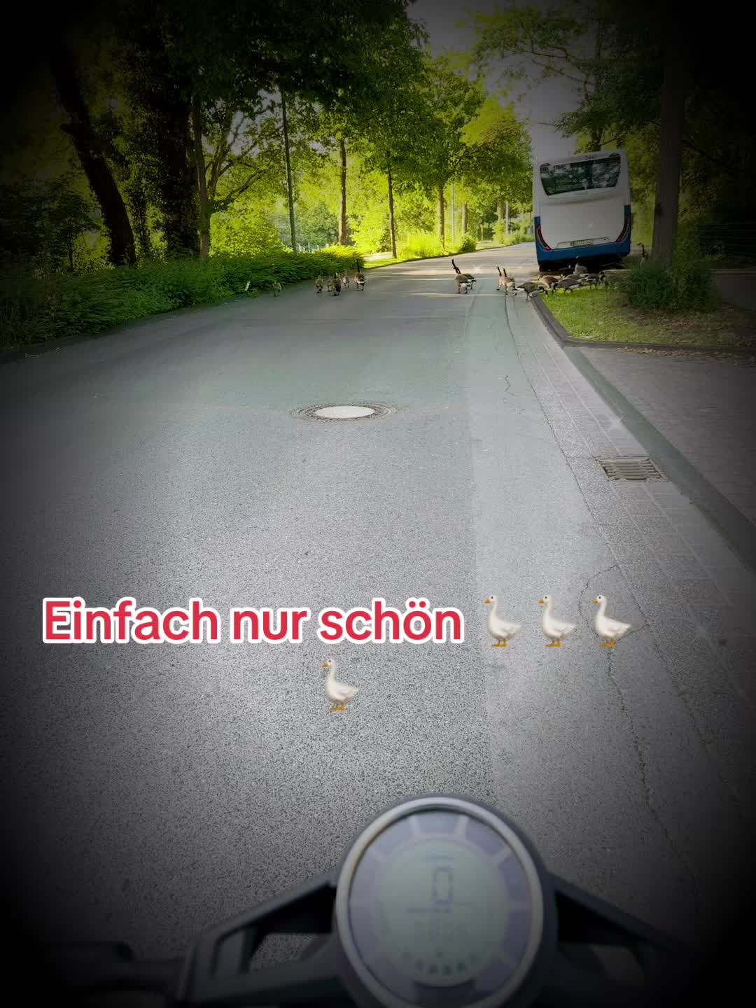 @speedy