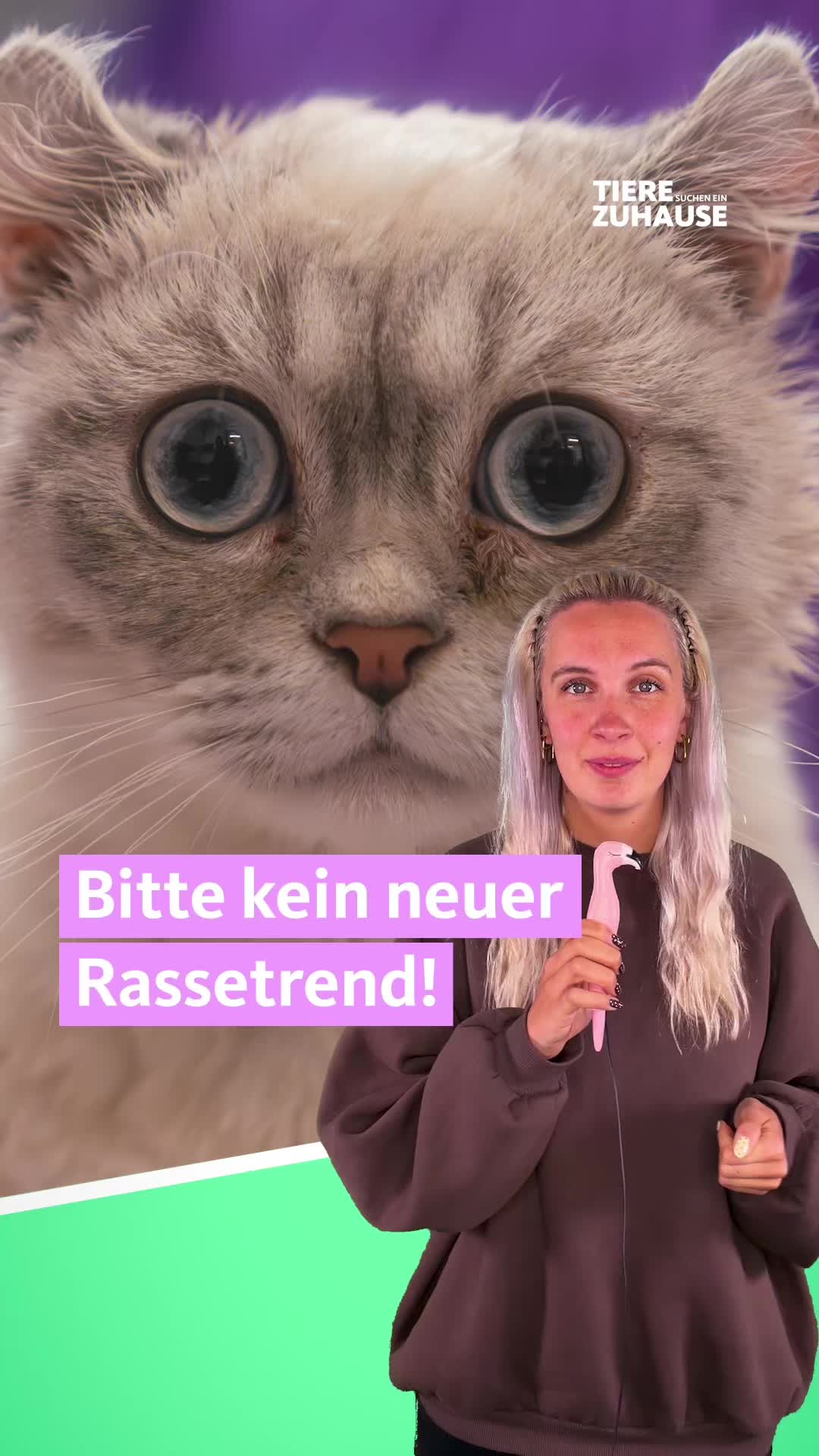 @Tiere suchen ein Zuhause