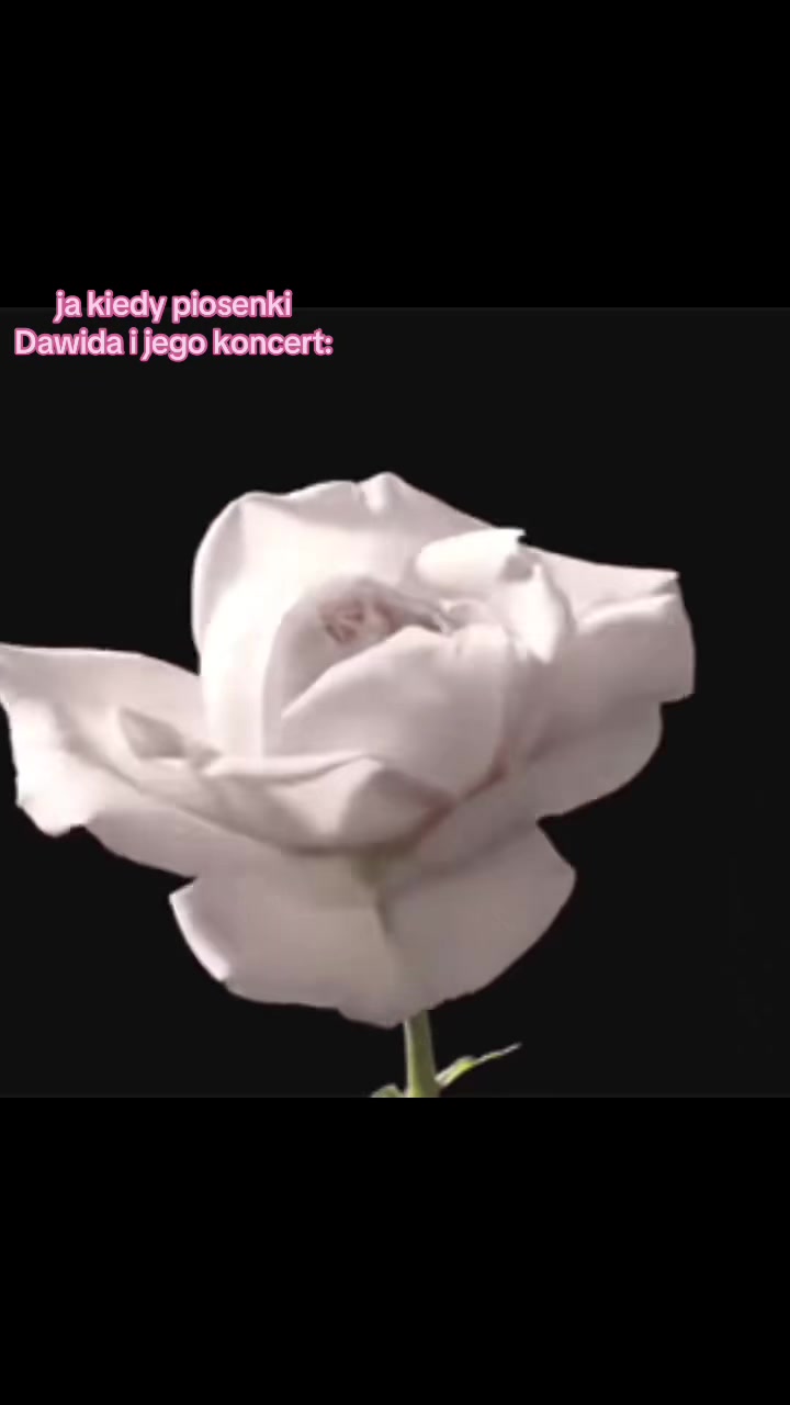 @𝑳𝒊𝒍𝒚 𝑴𝒂𝒍𝒇𝒐𝒚