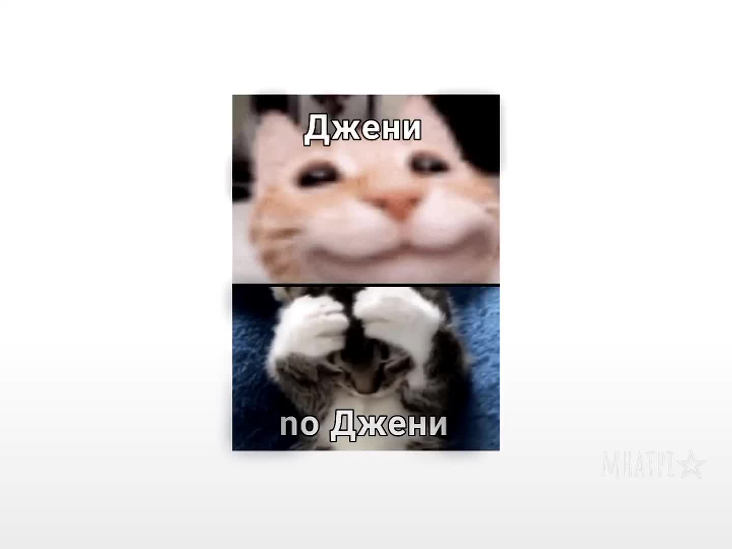 @Sipomi