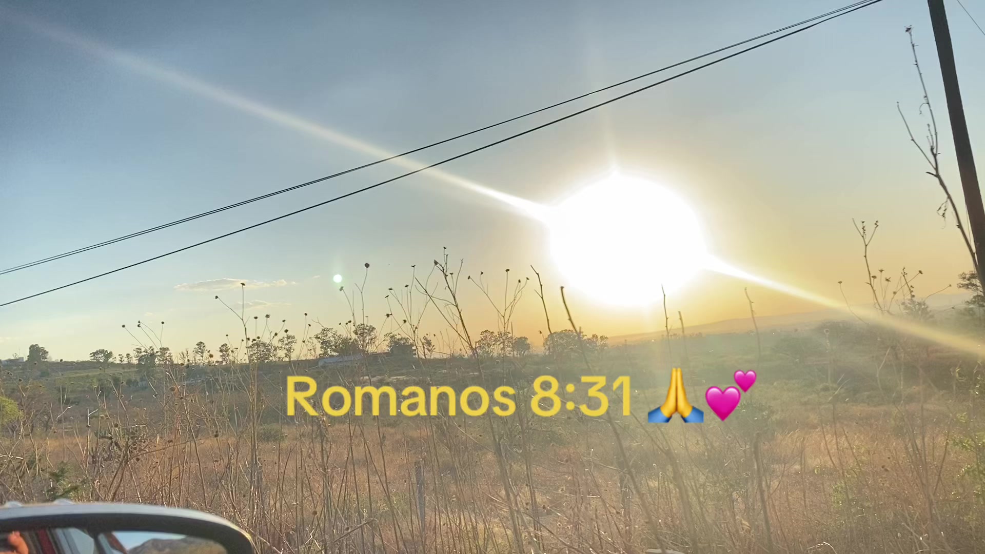 @Paloma