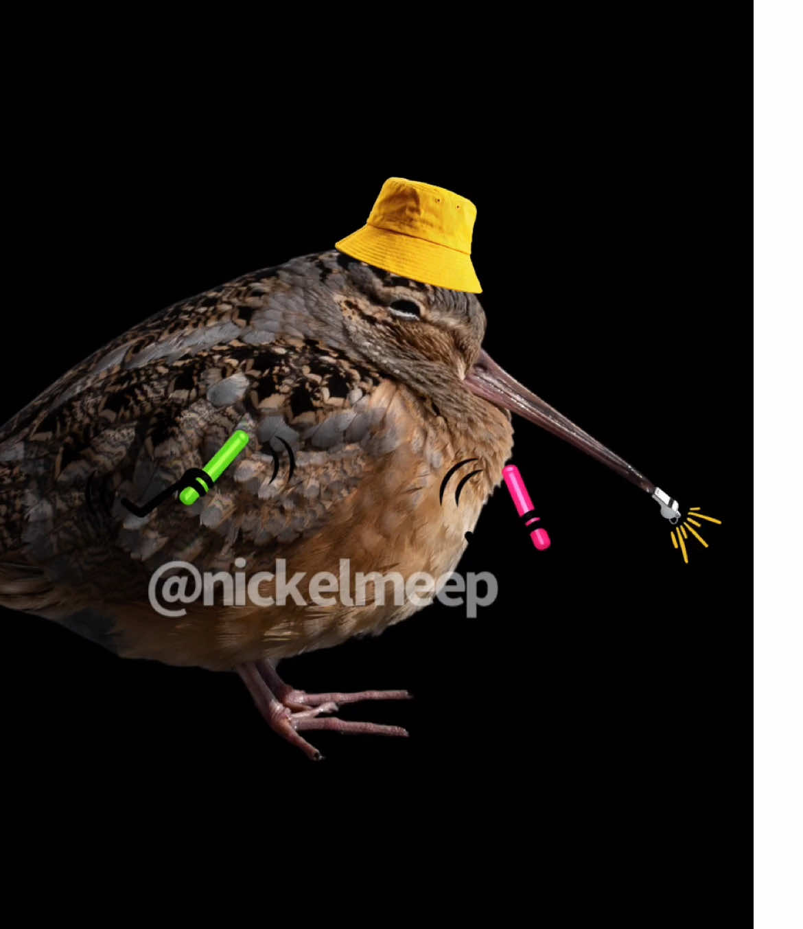@nickelmeep