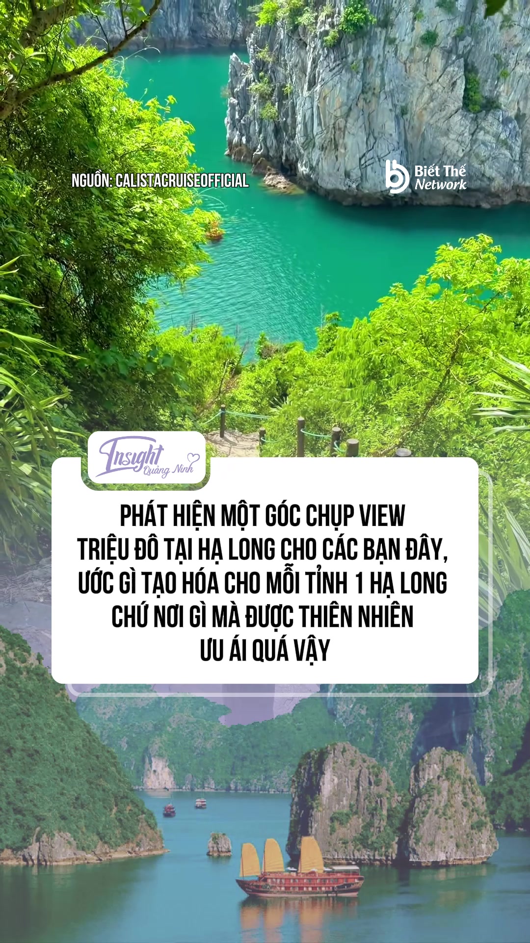 @Insight Quảng Ninh