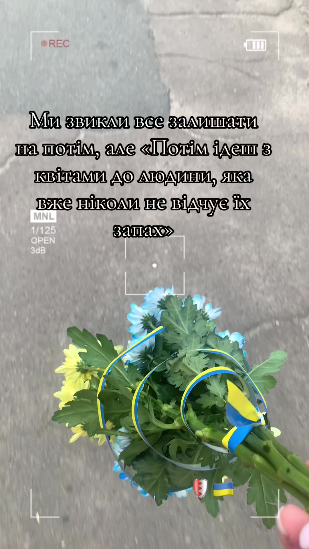 @Олена Томенко