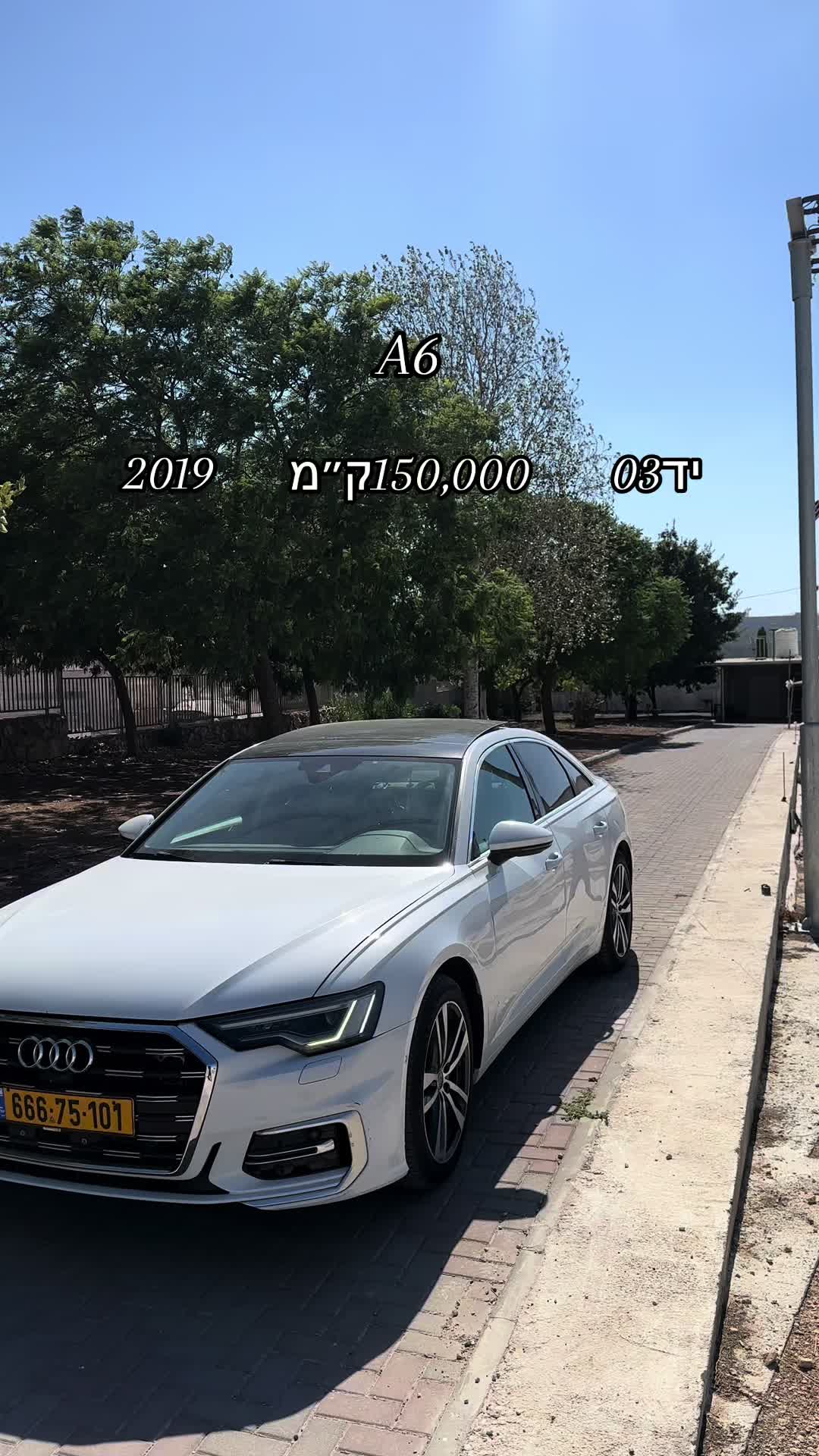 @אמין סאלח