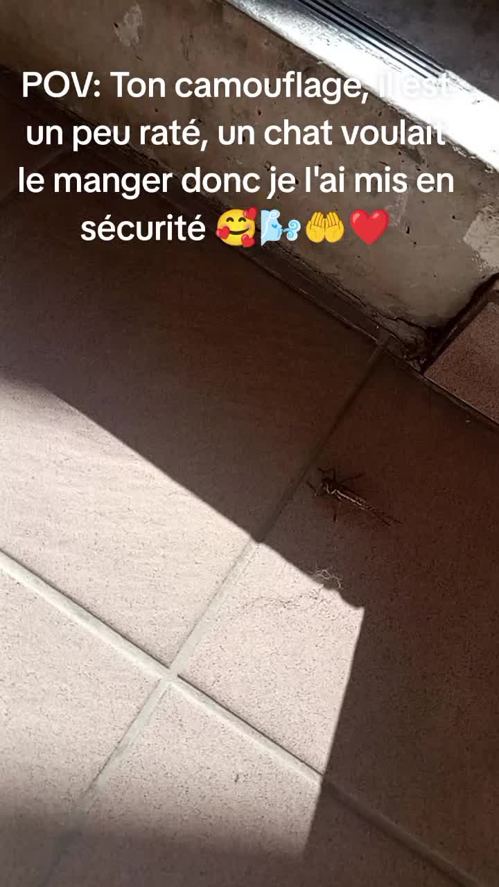 @Dj_Aniballe