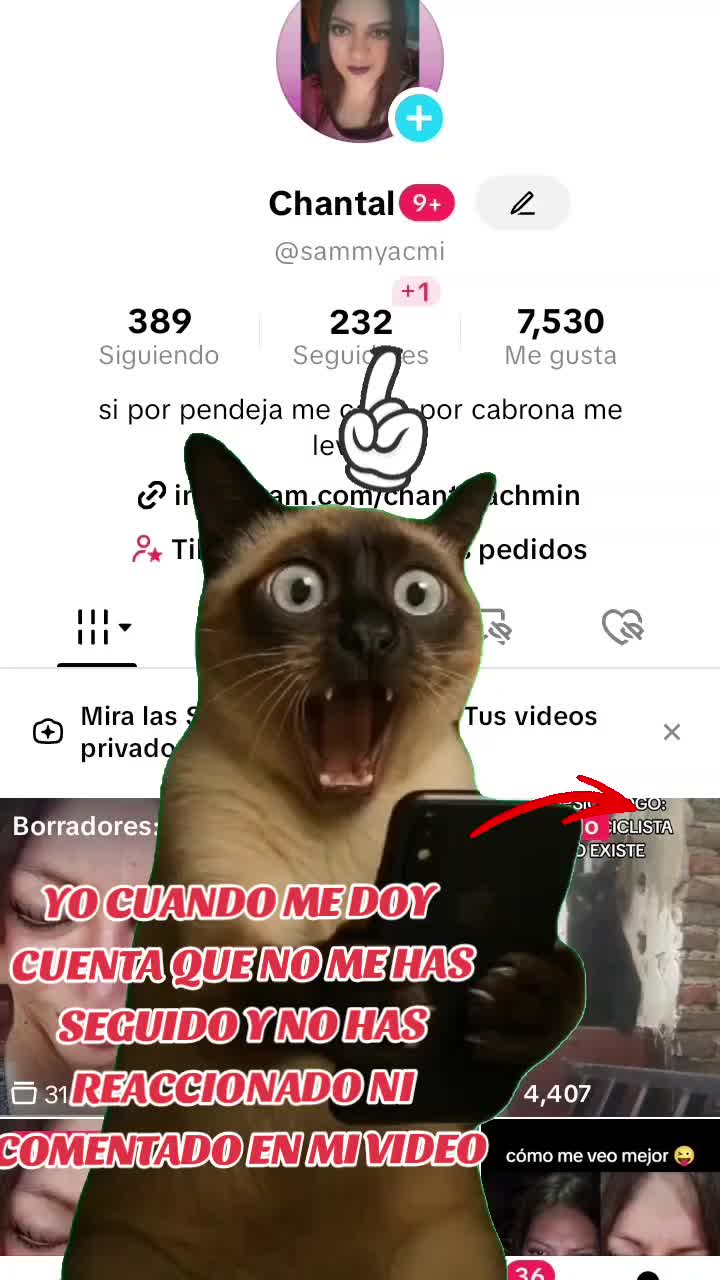 @Chantal