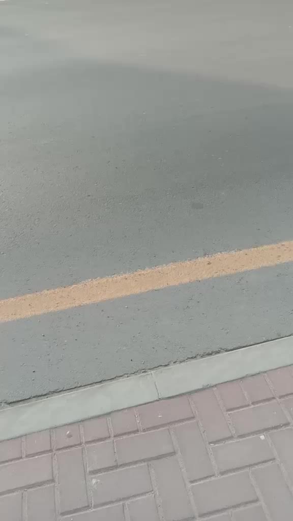 @dalbhadurnepali1