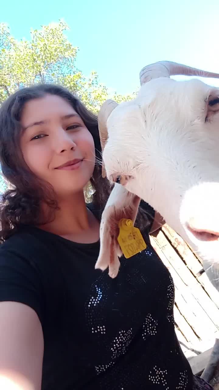 @Elif Çetin
