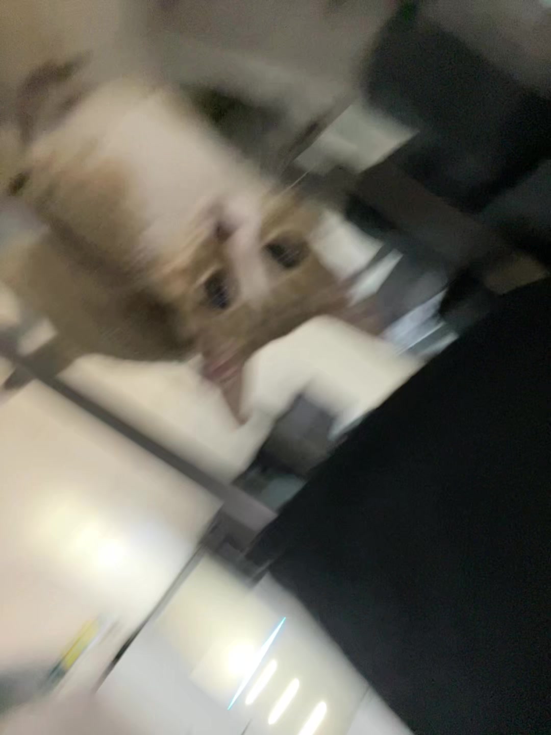 @TG. almostsaved