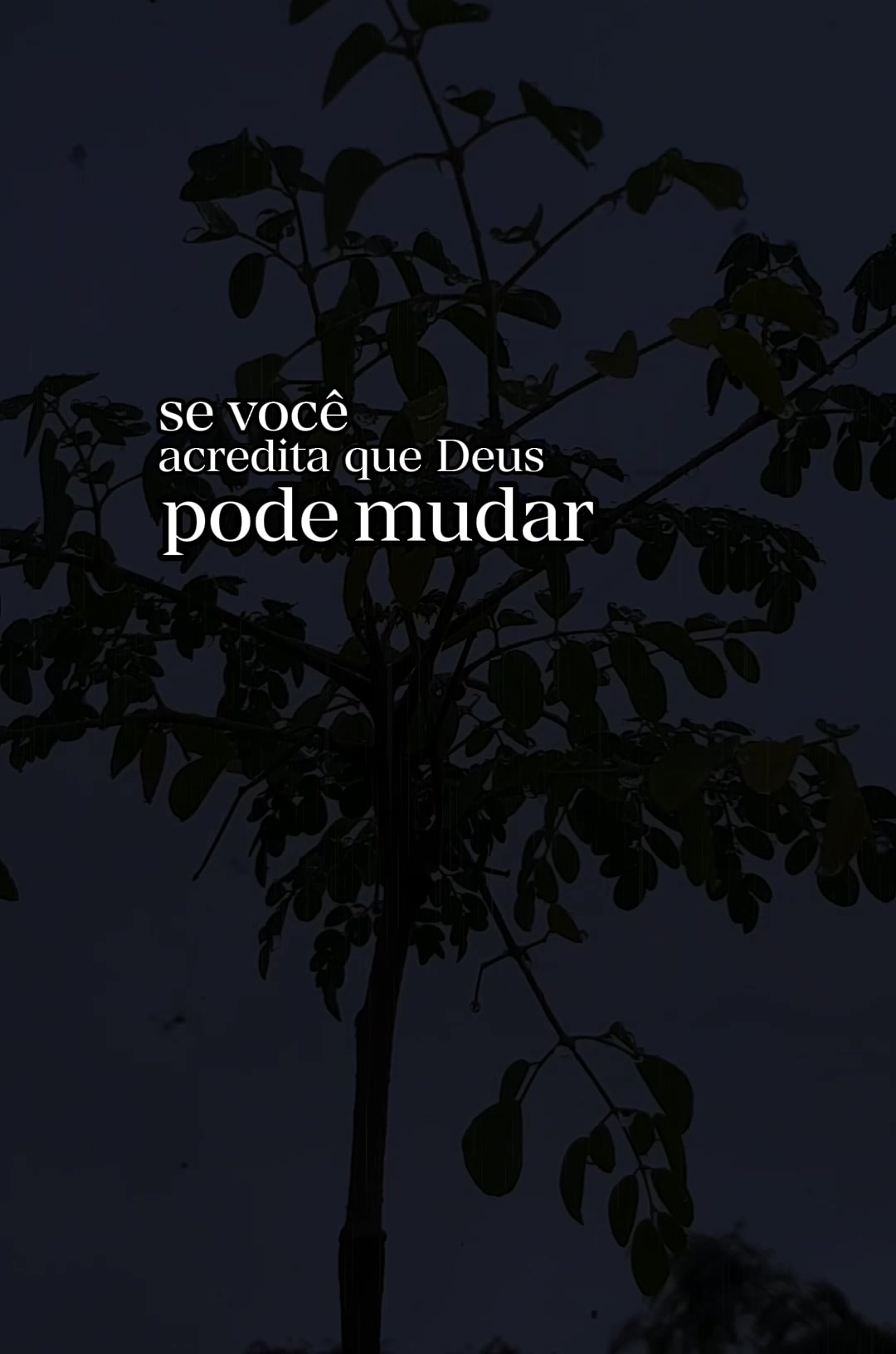 @Isaac Lopes
