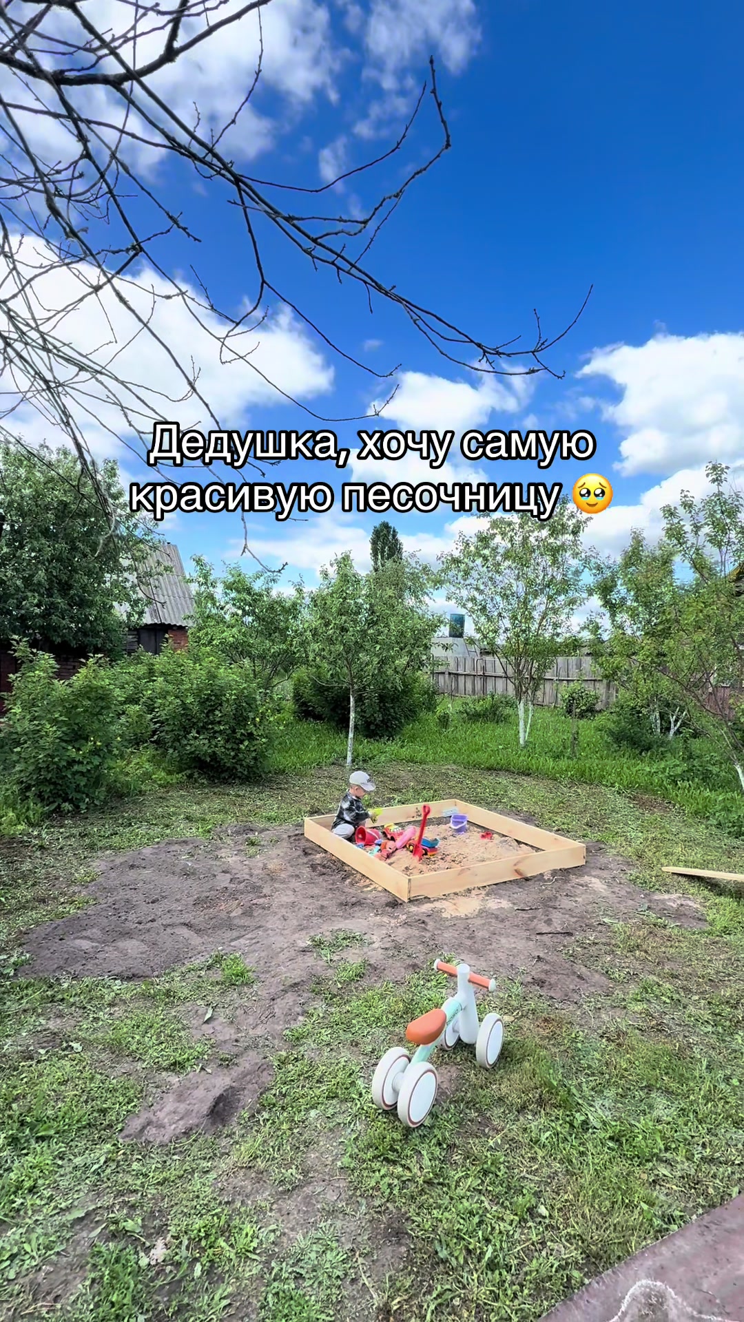 @dry_shishkova