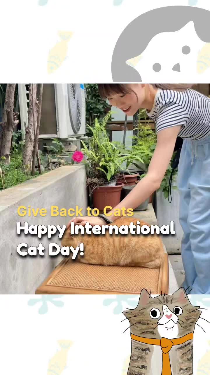 @CatSwoppr