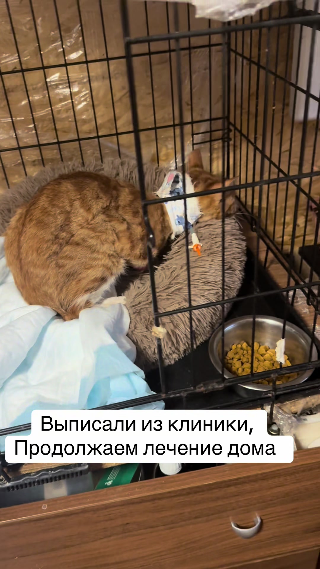 @Анна Алмазова
