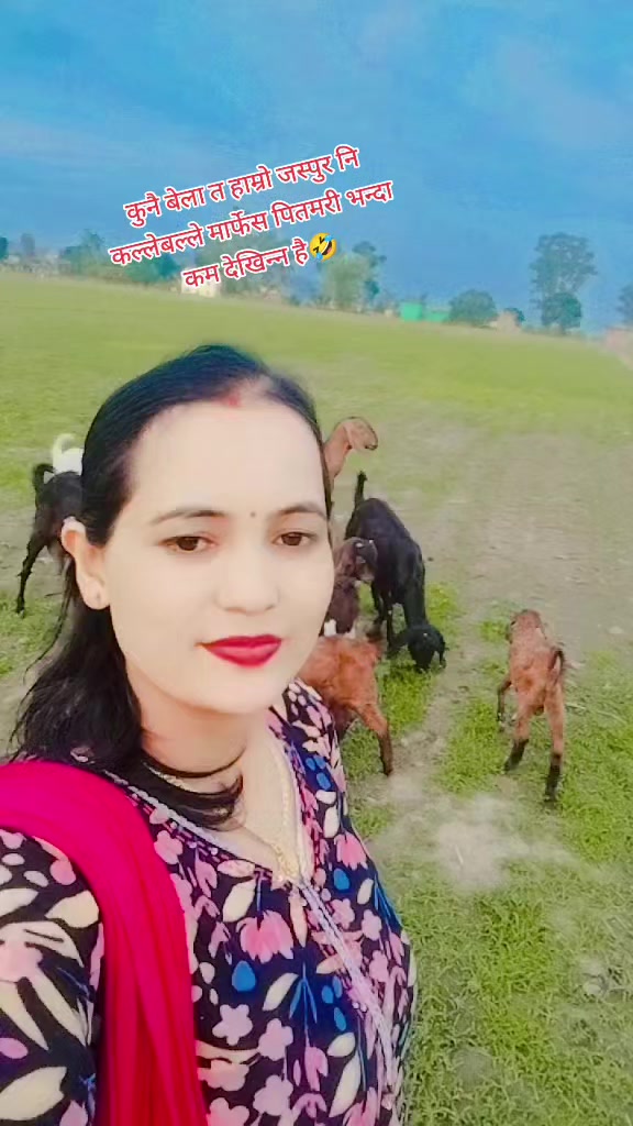 @maya kc91