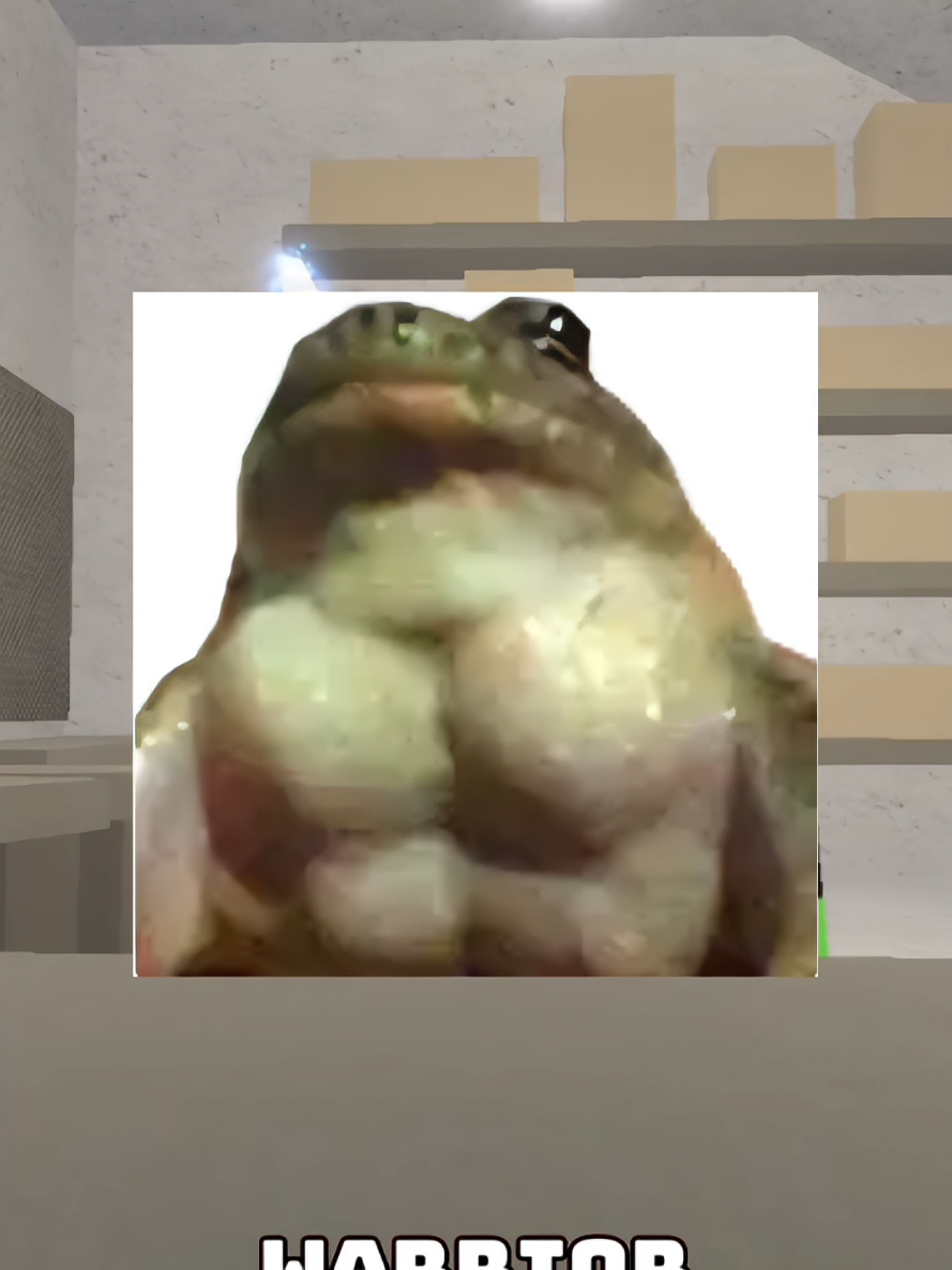 @KOTO THE FROG