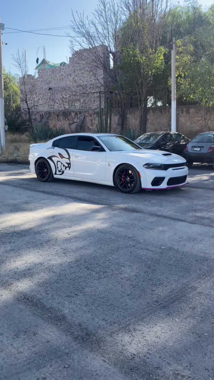 @Exotic cars slp