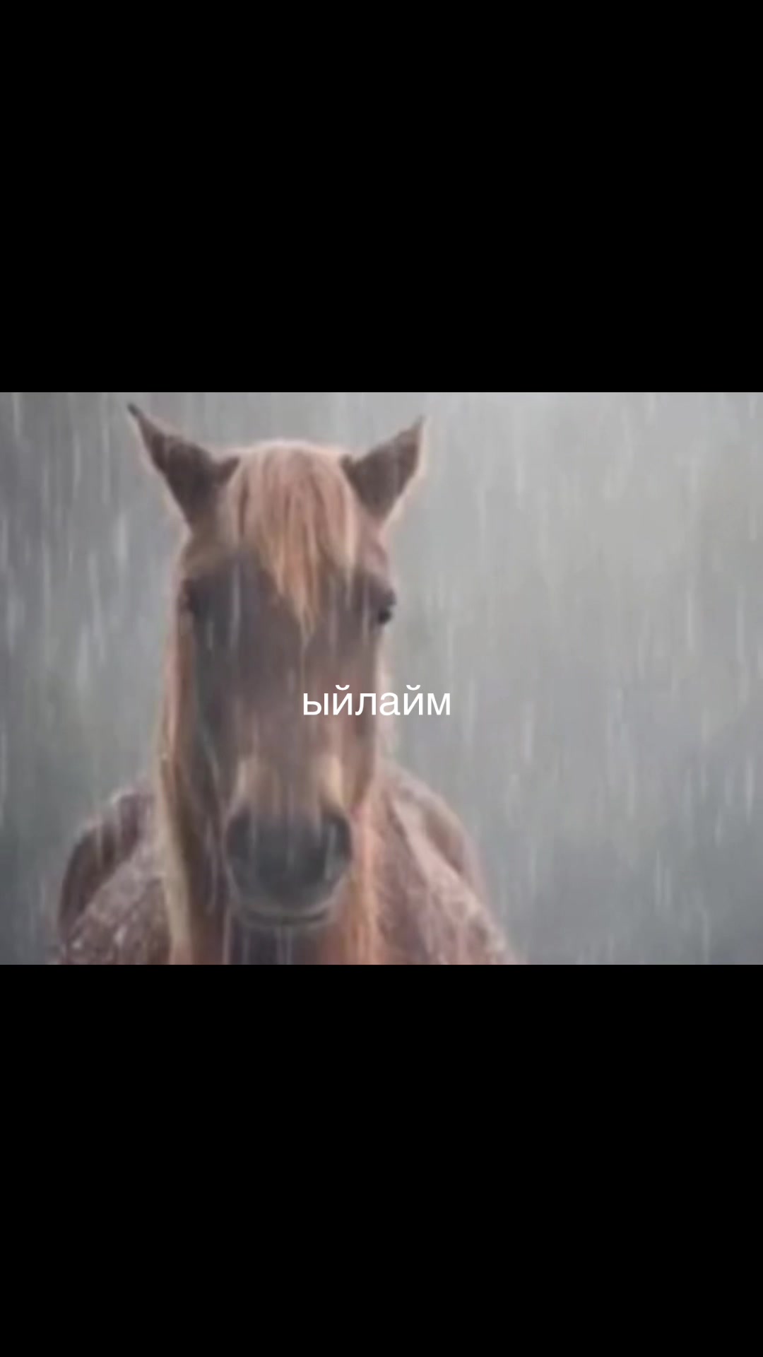 @667