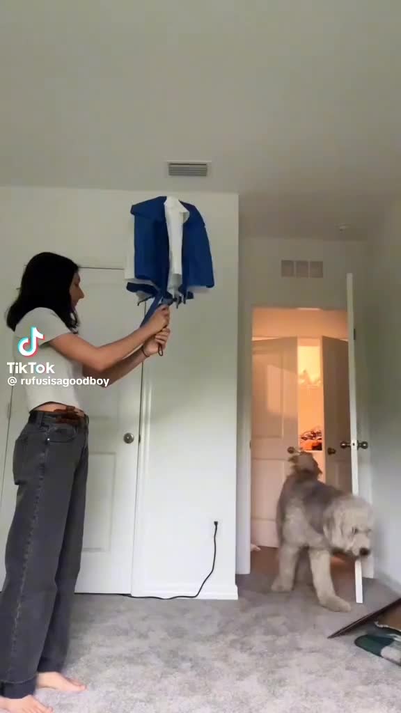 @shaneice