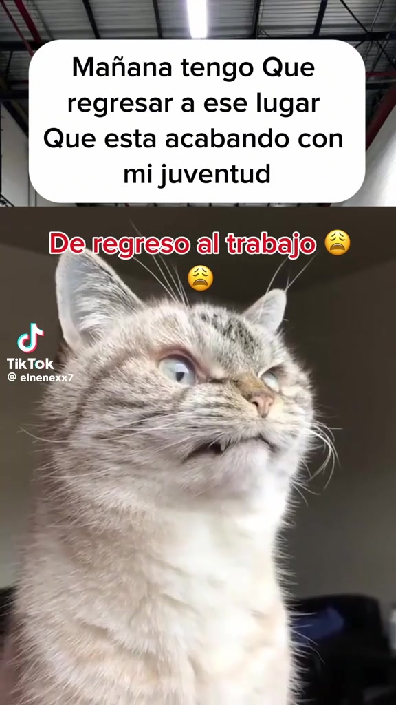 @CACER 777