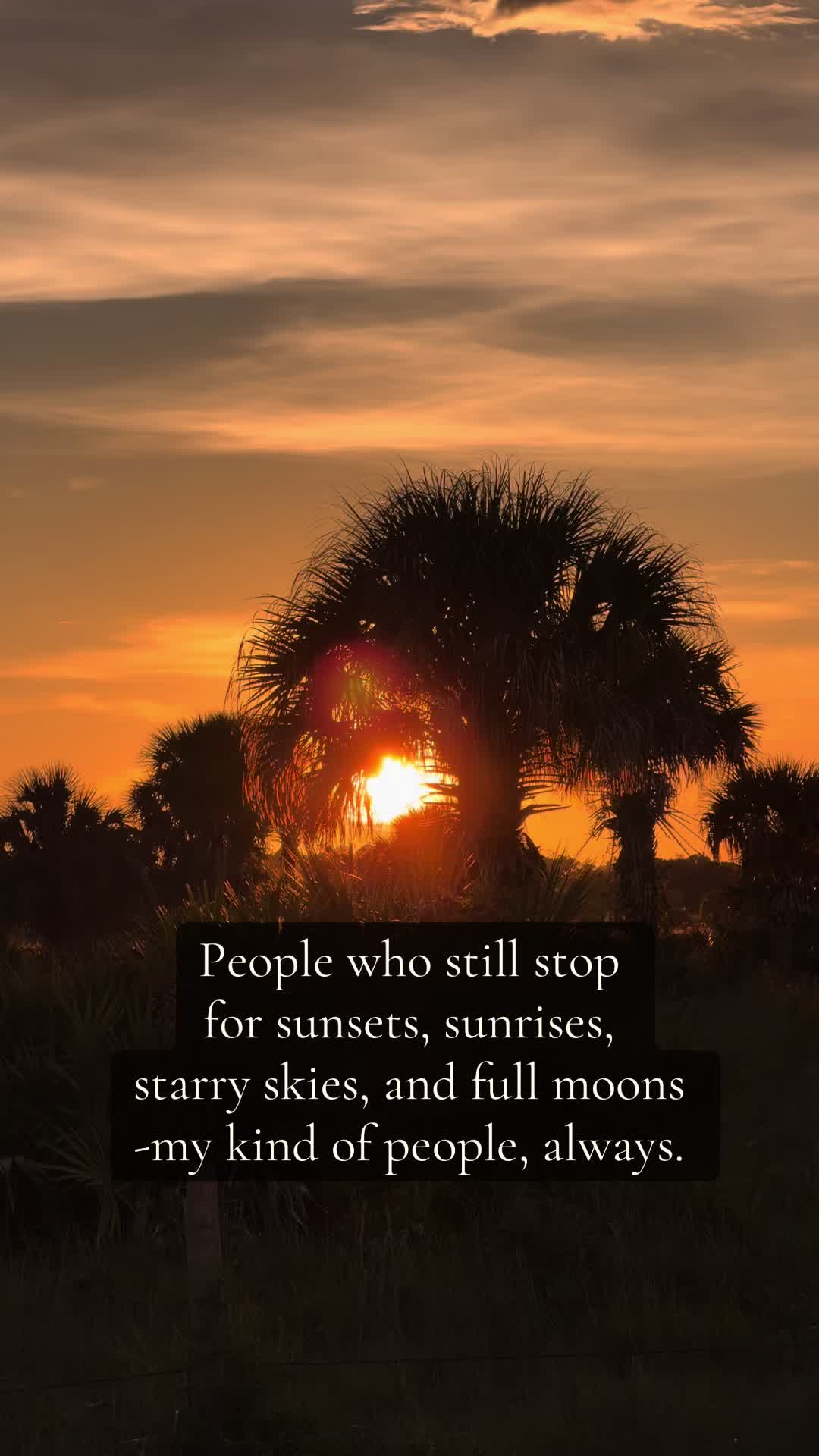 @sammysunset