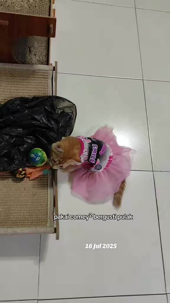 @Omma Kucing 🇲🇾🍉