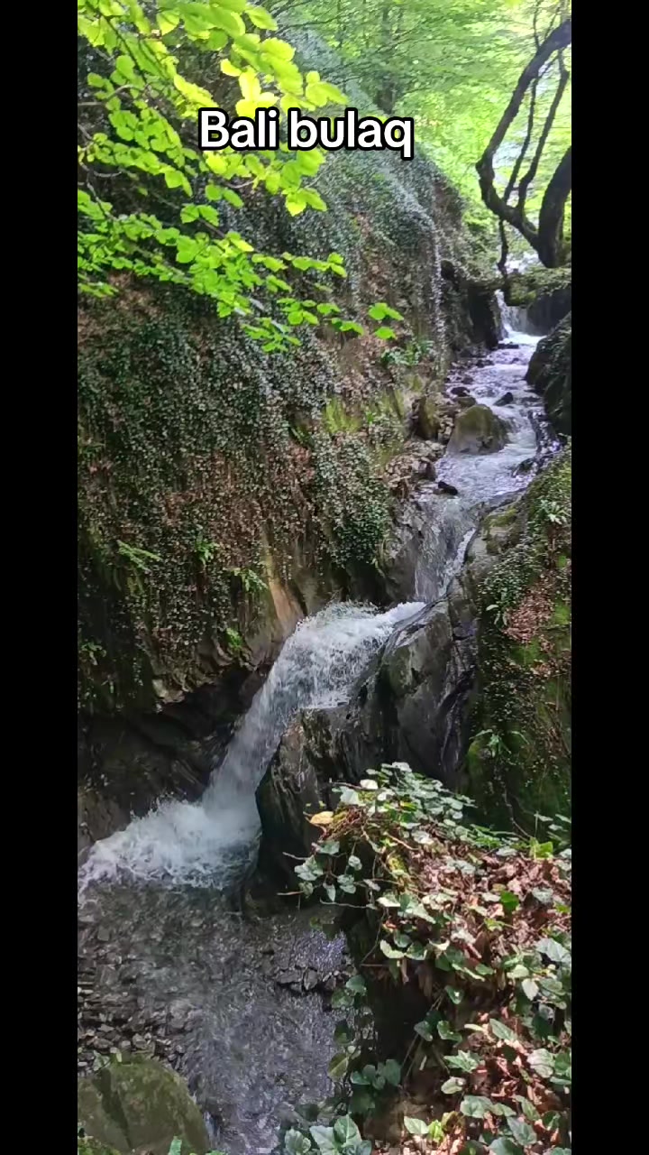 @Qax_Şuşa turu