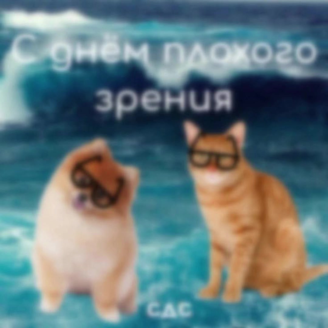 @котики на каждый день