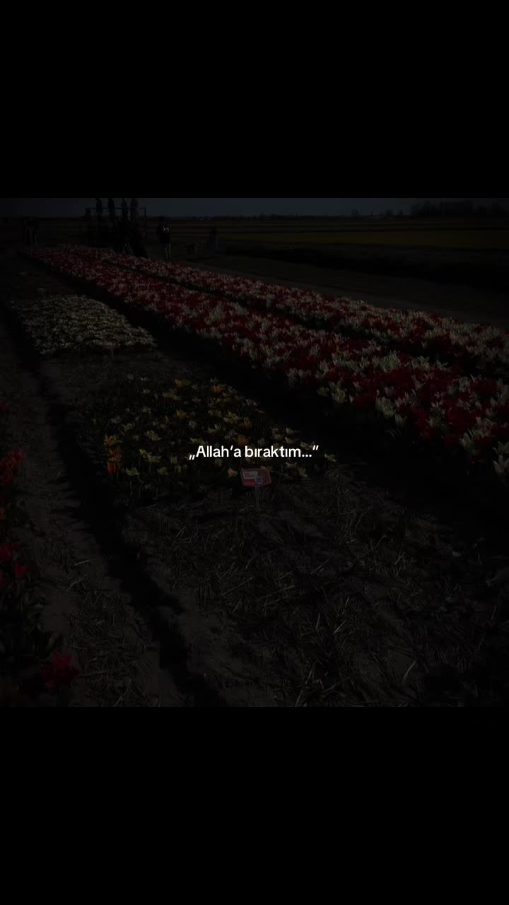 @Adanalı 🥀