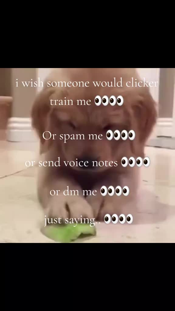 @ֶָ֢⊹𐙚