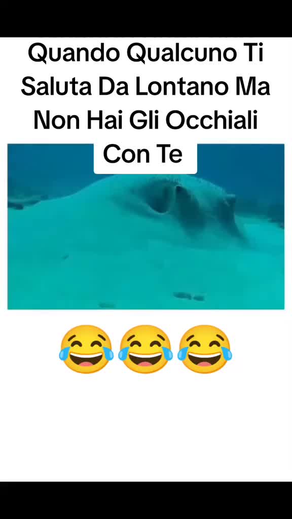 @ilmanu75