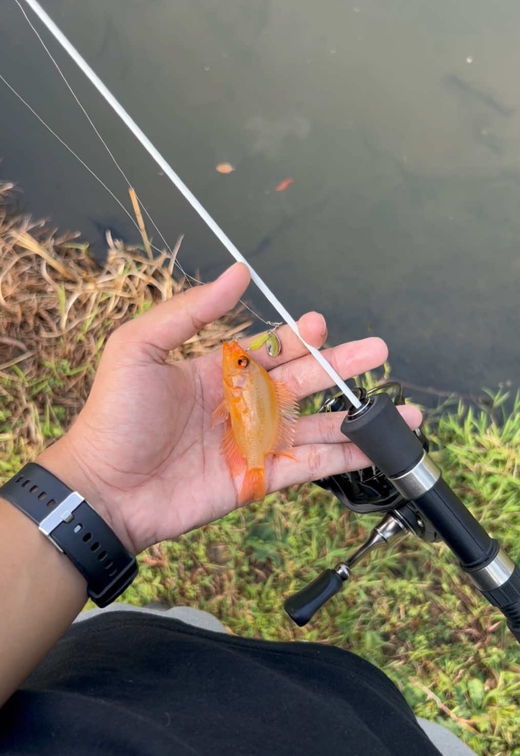 @Andalan Mancing